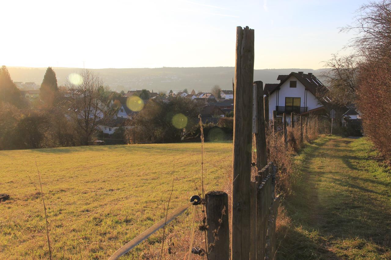 Ferienwohnung Klimek Michelstadt Eksteriør billede